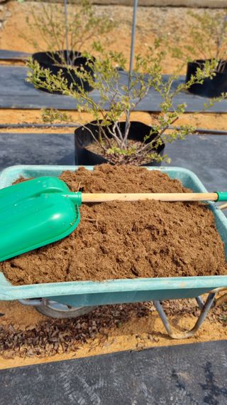 앙꼬르 블루베리님의 자유주제 · 자유게시판 작성글 사진