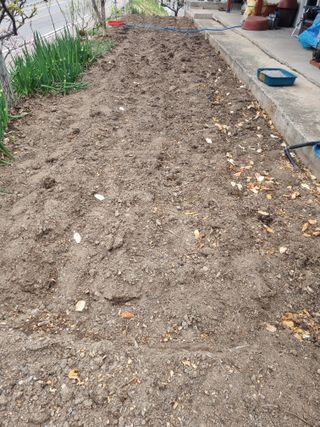 김용대님의 자유주제 · 자유게시판 작성글 사진