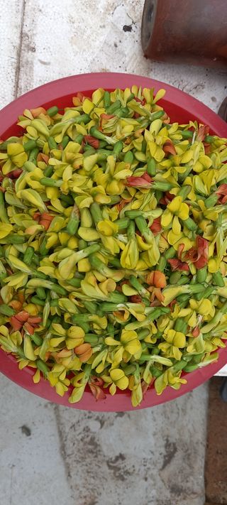 사과15865김도화님의 자유주제 · 자유게시판 작성글 사진