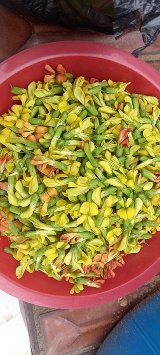 사과15865김도화님의 자유주제 · 자유게시판 작성글 사진