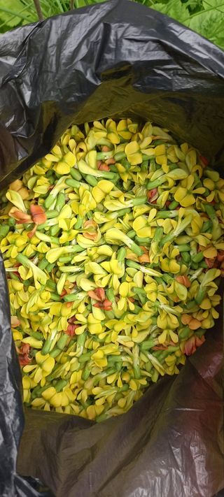 사과15865김도화님의 자유주제 · 자유게시판 작성글 사진