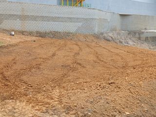 추녹이님의 자유주제 · 자유게시판 작성글 사진