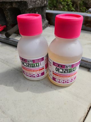 장양농원6606님의 배 · 영농일지 작성글 사진