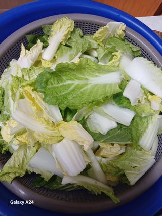 이상애초보농업님의 자유주제 · 자유게시판 작성글 사진