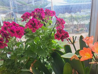 콩18930님의 모임 반장님 칭찬해요 · 참여글 작성글 사진