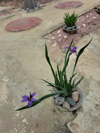 콩18930님의 모임 반장님 칭찬해요 · 참여글 작성글 사진