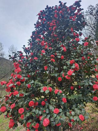 콩18930님의 모임 반장님 칭찬해요 · 참여글 작성글 사진