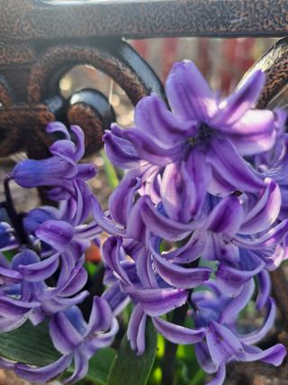 콩18930님의 모임 반장님 칭찬해요 · 참여글 작성글 사진