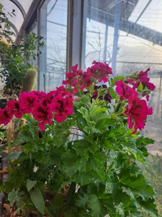 콩18930님의 모임 반장님 칭찬해요 · 참여글 작성글 사진