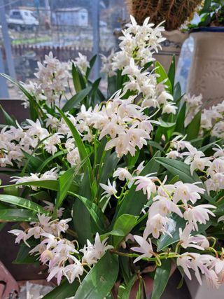 콩18930님의 모임 반장님 칭찬해요 · 참여글 작성글 사진