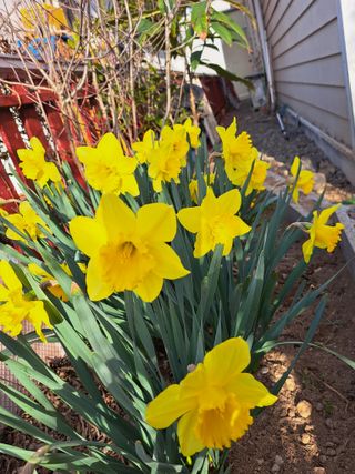 콩18930님의 모임 반장님 칭찬해요 · 참여글 작성글 사진