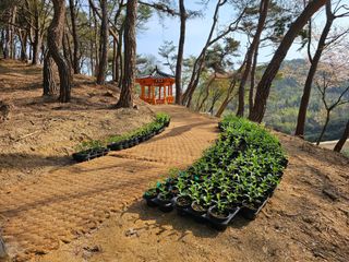 정광일님의 자유주제 · 자유게시판 작성글 사진
