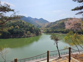 정광일님의 자유주제 · 자유게시판 작성글 사진