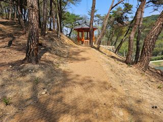 정광일님의 자유주제 · 자유게시판 작성글 사진