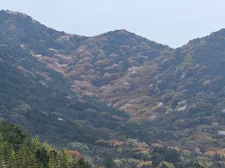 정광일님의 자유주제 · 자유게시판 작성글 사진
