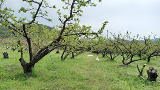대지털님의 자유주제 · 자유게시판 작성글 사진