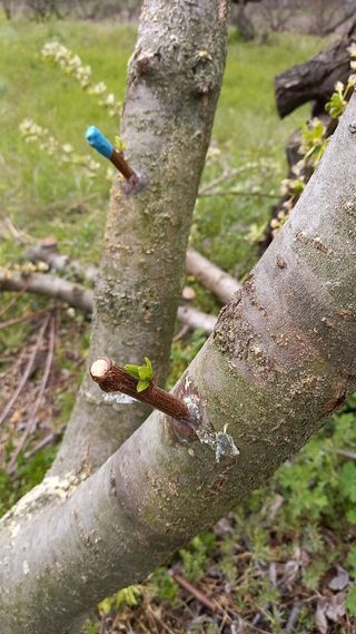 대지털님의 자유주제 · 자유게시판 작성글 사진