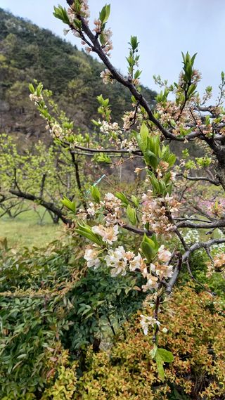 대지털님의 자유주제 · 자유게시판 작성글 사진