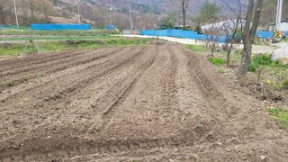 송명자님의 자유주제 · 자유게시판 작성글 사진