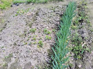 우영옥님의 자유주제 · 자유게시판 작성글 사진