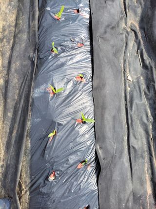 우영옥님의 자유주제 · 자유게시판 작성글 사진