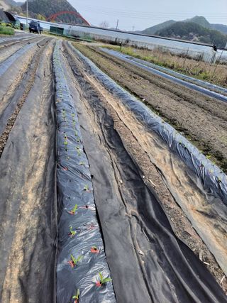 우영옥님의 자유주제 · 자유게시판 작성글 사진
