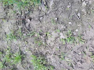 우영옥님의 자유주제 · 자유게시판 작성글 사진