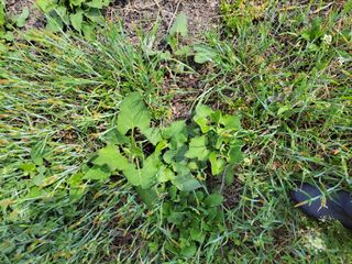 우영옥님의 자유주제 · 자유게시판 작성글 사진