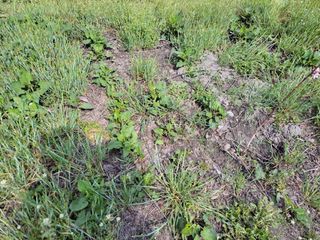 우영옥님의 자유주제 · 자유게시판 작성글 사진