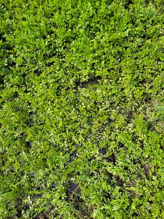 우영옥님의 자유주제 · 자유게시판 작성글 사진