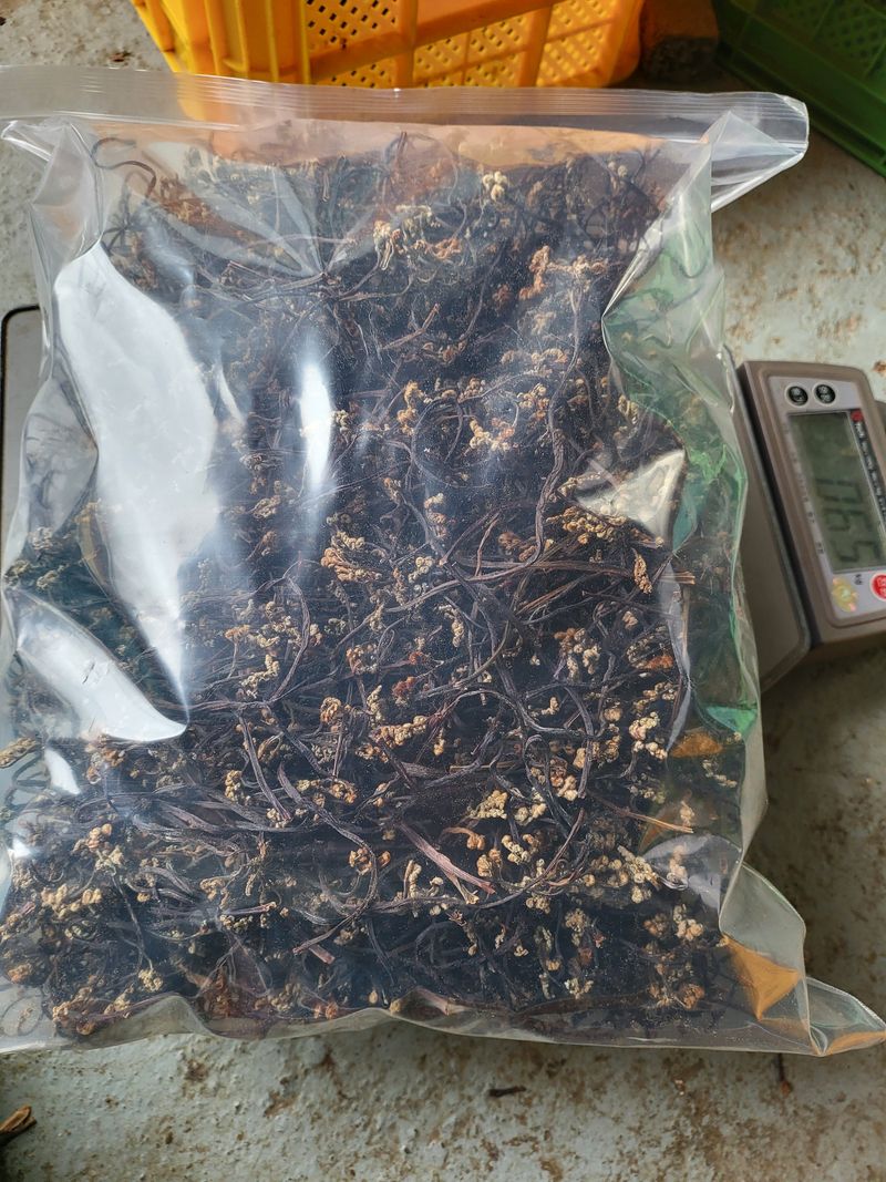 장터 상품 [자연산 건고사리 650g 한근 주문 받아용 품절입니다 이용해주셔서 감사합니다] 썸네일