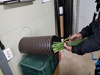 이천순님의 자유주제 · 자유게시판 작성글 사진