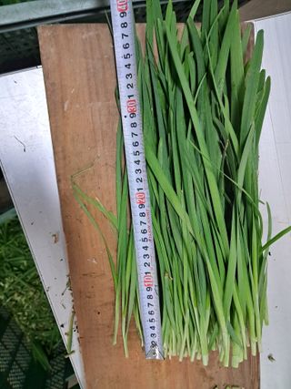 이천순님의 자유주제 · 자유게시판 작성글 사진