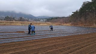 요리하는 농부님의 감자 · 영농일지 작성글 사진