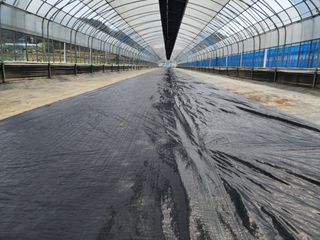 김영준님의 블루베리 · 자유게시판 작성글 사진