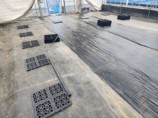 김영준님의 블루베리 · 자유게시판 작성글 사진