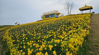 박기남님의 모임 반장님 칭찬해요 · 참여글 작성글 사진