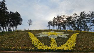 박기남님의 모임 반장님 칭찬해요 · 참여글 작성글 사진