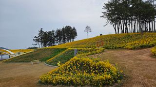 박기남님의 모임 반장님 칭찬해요 · 참여글 작성글 사진