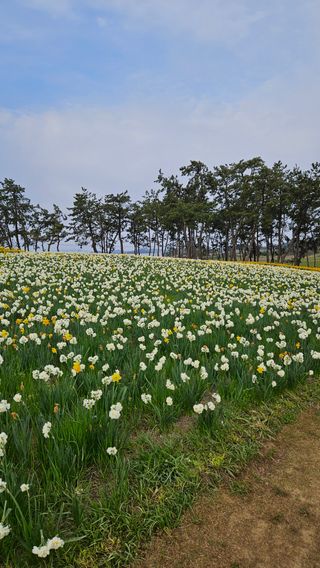 박기남님의 모임 반장님 칭찬해요 · 참여글 작성글 사진