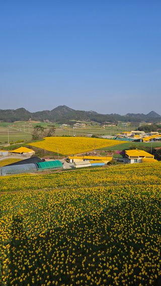 박기남님의 모임 반장님 칭찬해요 · 참여글 작성글 사진