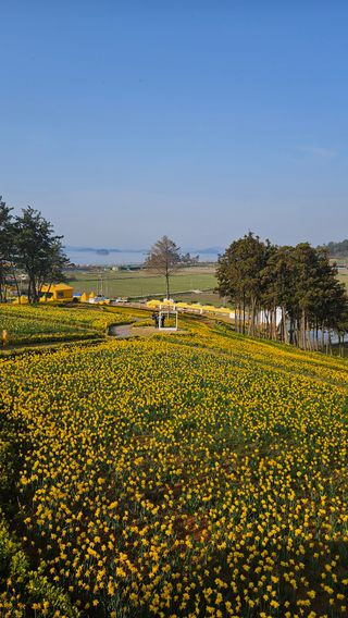 박기남님의 모임 반장님 칭찬해요 · 참여글 작성글 사진