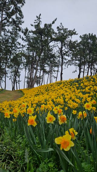박기남님의 모임 반장님 칭찬해요 · 참여글 작성글 사진