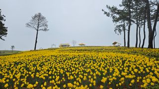 박기남님의 모임 반장님 칭찬해요 · 참여글 작성글 사진