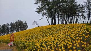 박기남님의 모임 반장님 칭찬해요 · 참여글 작성글 사진