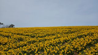 박기남님의 모임 반장님 칭찬해요 · 참여글 작성글 사진