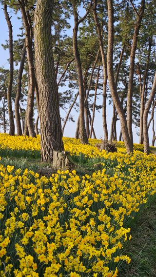 박기남님의 모임 반장님 칭찬해요 · 참여글 작성글 사진