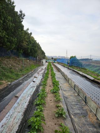 역전님의 농사, 무엇이든 물어보세요! · 참여글 작성글 사진