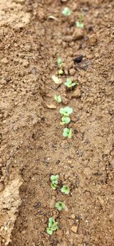 팜모닝 자유주제·자유게시판 게시글 이미지