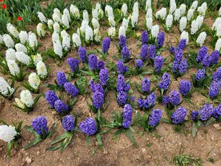 대지원님의 자유주제 · 자유게시판 작성글 사진